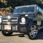 ベンツゲレンデの写真