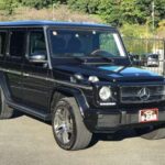 ベンツゲレンデ前方写真