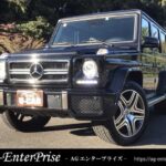 ベンツゲレンデの写真